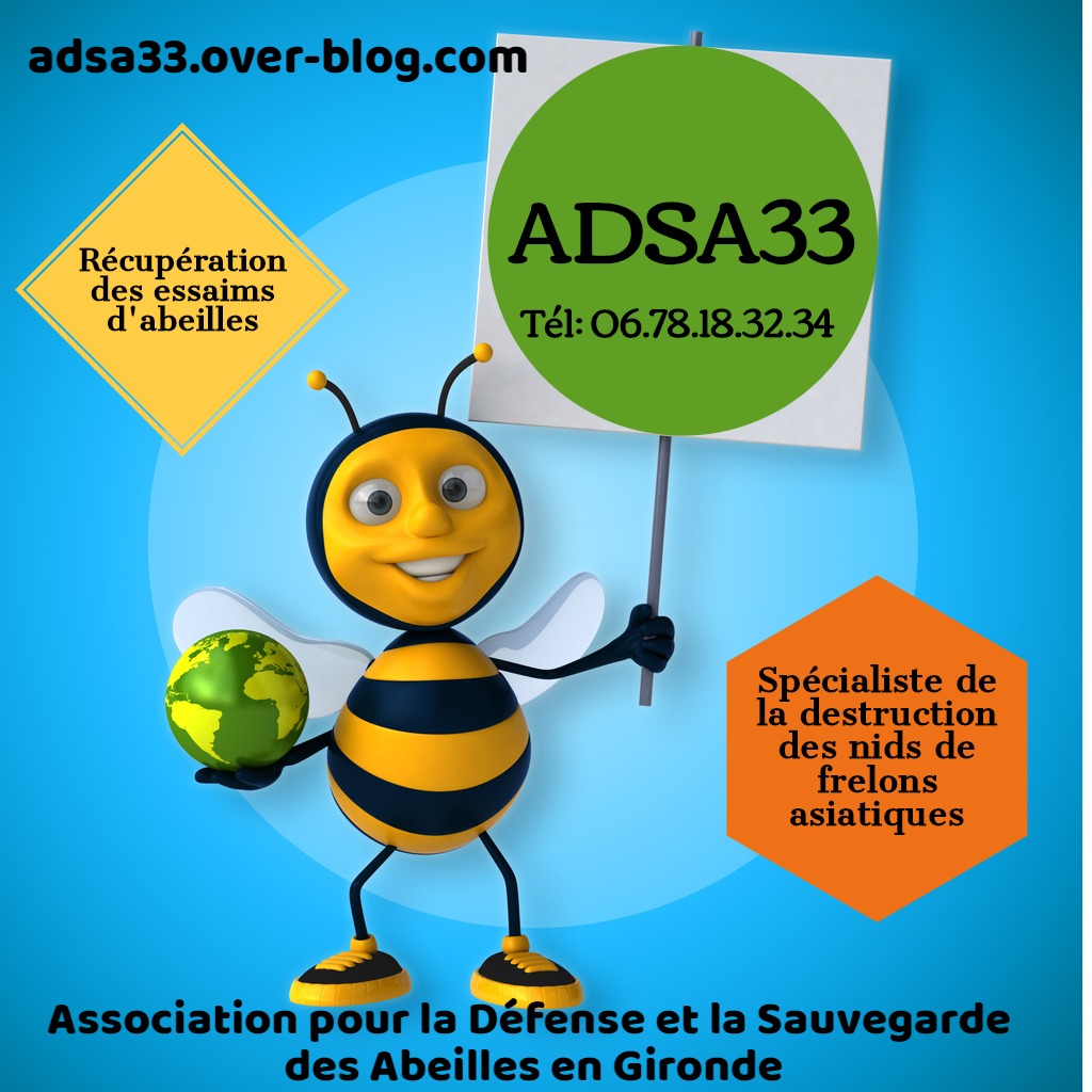 association adsa33
